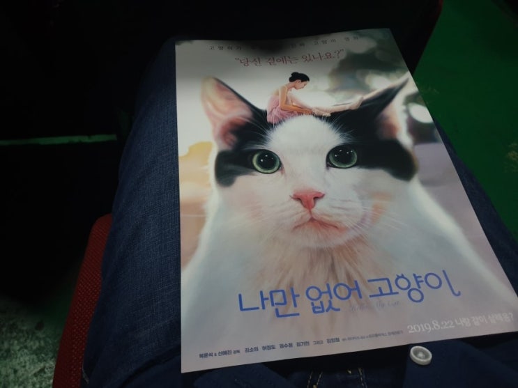  [영화] 나만 없어 고양이