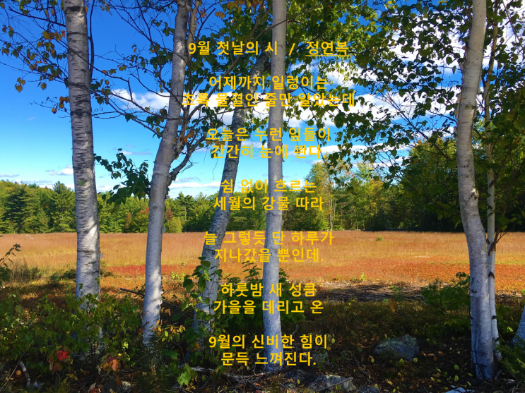  9월의 시 모음<5>