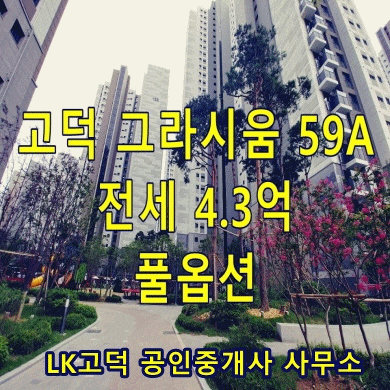  고덕 그라시움  25평형 전세