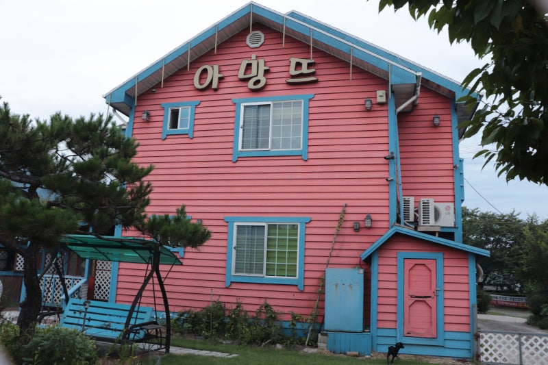 사진 5