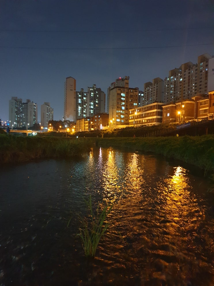  8월 일상