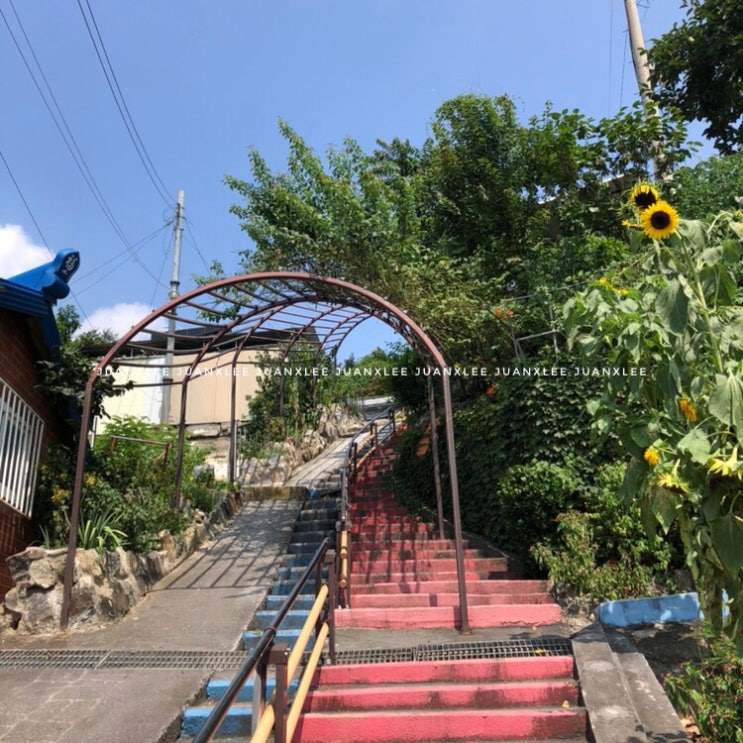  대동 하늘공원.
