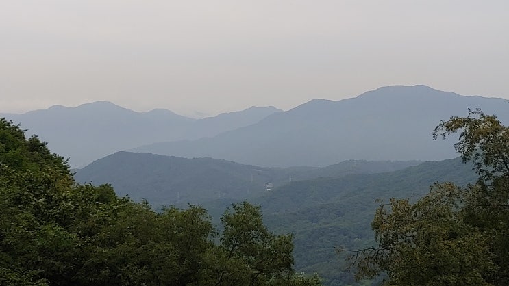 늦여름 남한산성 야생화 8월 24일 늦여름 남한산성 야생화 8월 24일