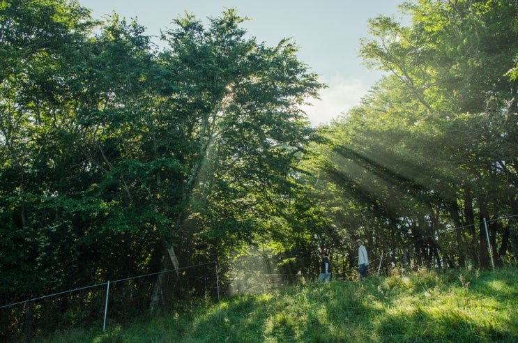  우루기 마을의 하이디