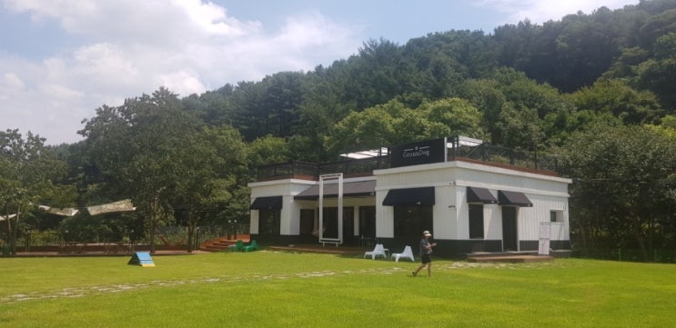  새로 오픈하는 남양주의 강아지운동장 그라운독에 뛰뛰하러 달려간 코코
