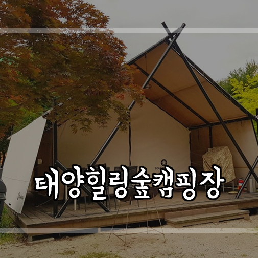  감악산캠핑장 태양힐링숲글램핑에서 글램핑하다 다람쥐와 함께 즐거운 시간!