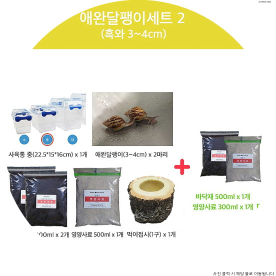  [양평달팽이농장 애완달팽이세트2(백와 금와 흑와 3~4cm)]