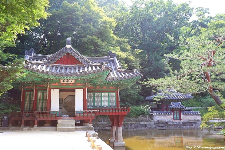 조선의 왕이 사랑한 왕의 정원, 창덕궁 후원 '부용지(1)