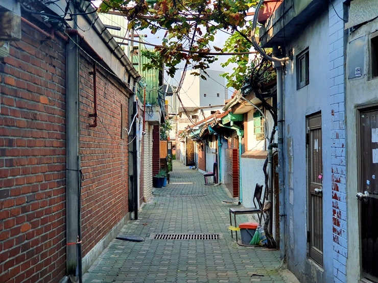 청량리 제기동 : 네이버 블로그 청량리 제기동 : 네이버 블로그