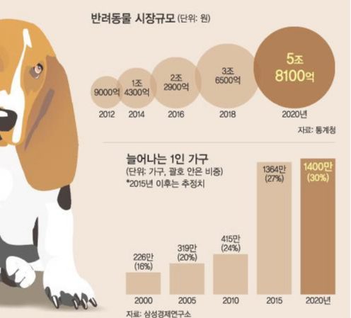 메리츠화재 팻보험~^^고양이-강아지 보험이 있어요