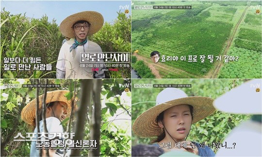 유재석X이효리 ‘일로만난사이’서 뭉친다 유재석X이효리 ‘일로만난사이’서 뭉친다