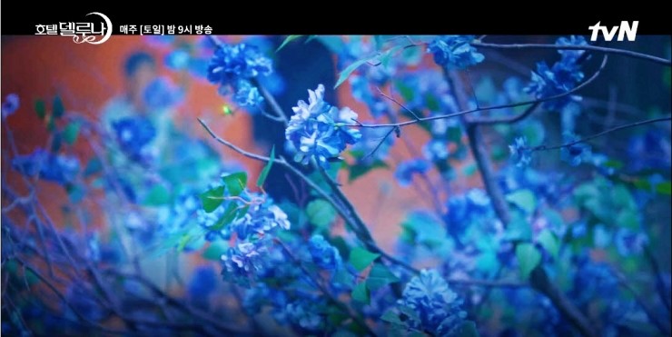  "호텔 델루나 반디불 정체" 청명은 늘 만월의 곁에~ 배우 '이도현' (인스타그램, 과거 작품, 이도현)
