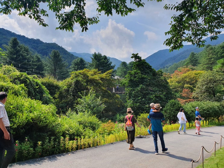  가평 가볼만한곳 아침고요수목원 #힐링여행/산책