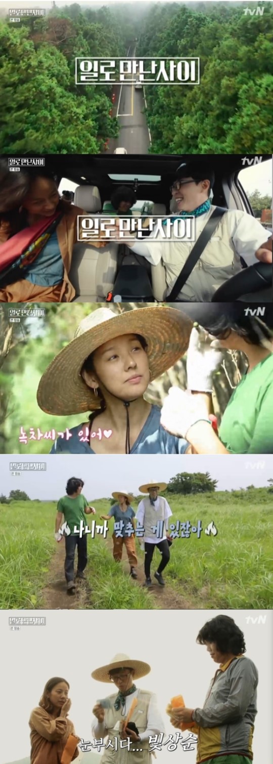 ‘일로 만난 사이’, 야외 토크쇼와 힐링 노동 그 사이... ‘신선한 케미’ (종합) ‘일로 만난 사이’, 야외 토크쇼와 힐링 노동 그 사이... ‘신선한 케미’ (종합)