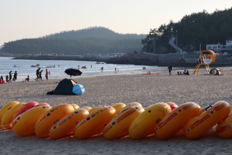  완도 여행 코스 중 가볼만한곳 신지 명사십리해수욕장 가다.
