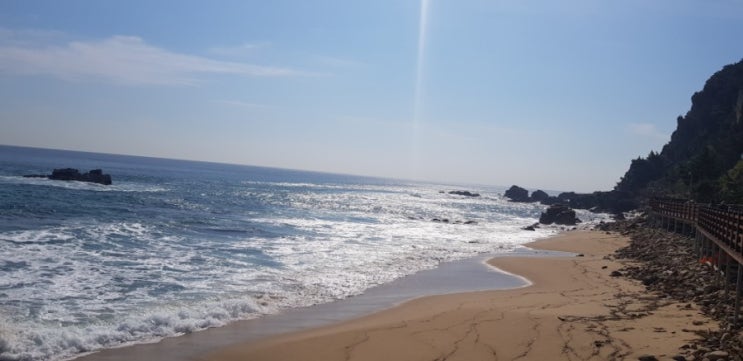  급 여행 : 동해 당일치기 (2019.8.18)