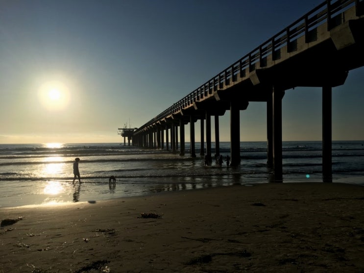  2019-08-23 : Scripps Beach
