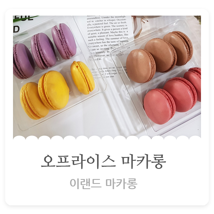  오프라이스 마카롱 솔직후기