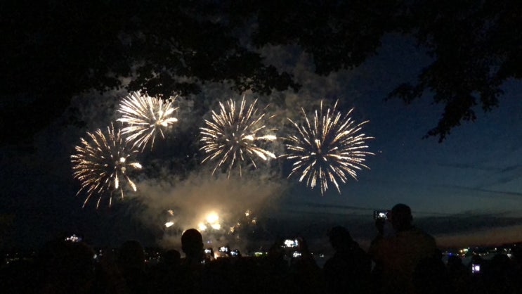  8月