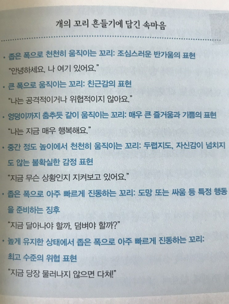  그 개는 정말 좋아서 꼬리를 흔들었을까?