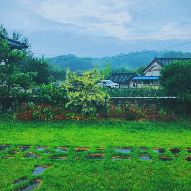  일상