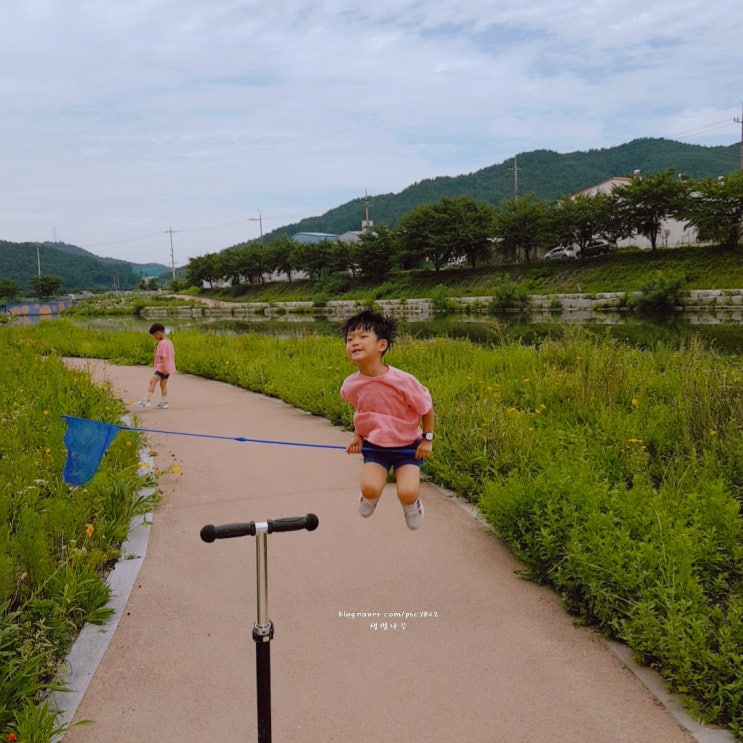 메뚜기 먹이채집도 하고  베란다텃밭 상추랑 배추도 심고