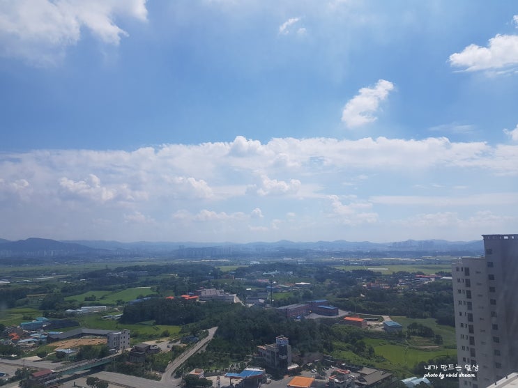  청주화재 불이 난거였어.