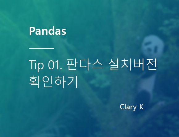[파이썬] 판다스(pandas) 팁1. 설치 버전 확인하기