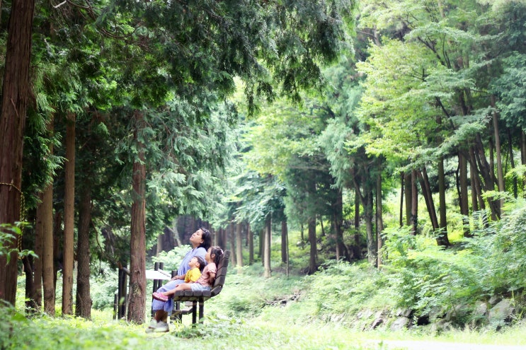 경남 거제 / 계룡산 숲속놀이터, 숲해설가와 함께한 숲체험