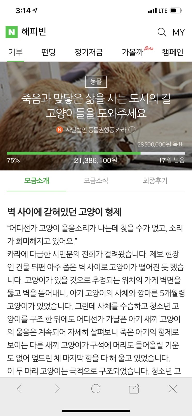  매일 포스팅 하는 이유