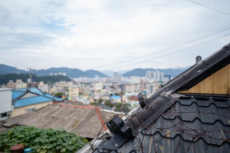  창원 성덕암에서 바라본 마산풍경.