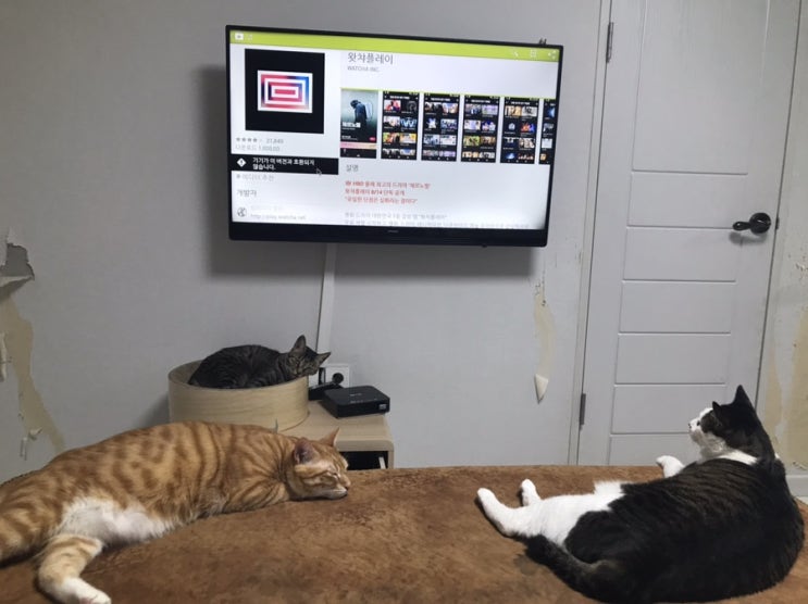  기계치 끝판왕