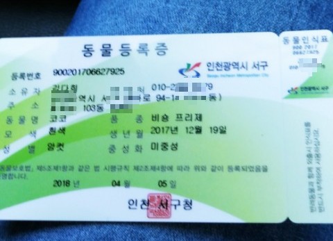  동물등록증 등록방법 (강아지 등록증 )
