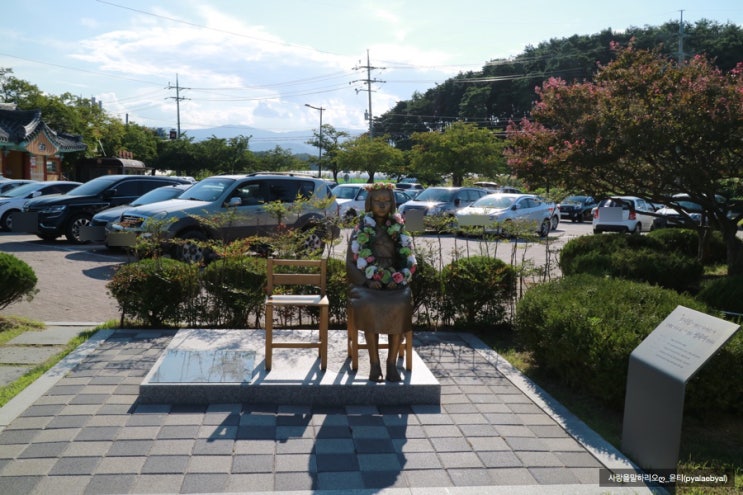  20190824 그것이 알고싶다 누가 소녀상에 침을 뱉는가