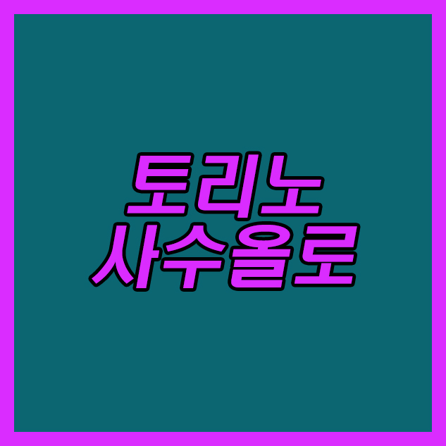 토리노 사수올로 26일 세리에A 새로운 전략으로 승리를 챙취하리라