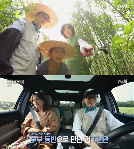  '일로 만난 사이' 유재석X이효리 티격태격, 예능 남매 클래스는 여전 