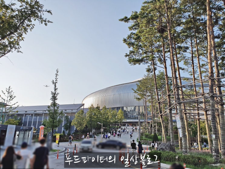  2019년 프로야구 , 고척스카이돔 꿀팁(주류, 재입장, 입장료) 및 8월 23일 KIA VS 키움 후기