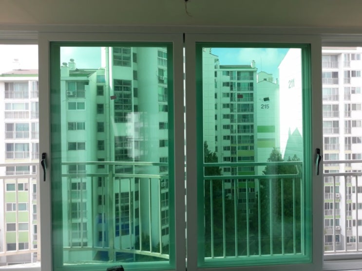  이래도 꽃을 키울 수 있을까..