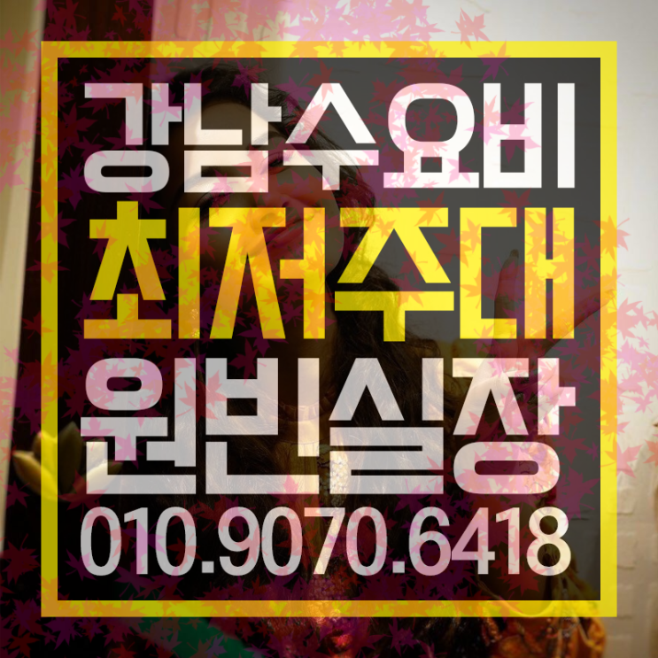  수요비  제대로 노라봐염 
