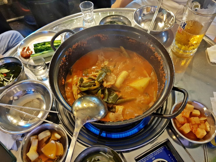  부산 닭볶음탕 해운대 꽃 피는 동백섬 닭도리탕