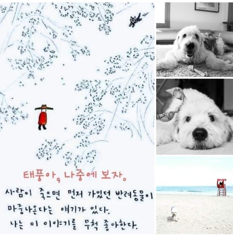  '삶도 빛나고, 죽음도 빛나라!' - 태풍이 영면하다