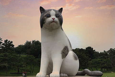빙그레꽈배기 이미지