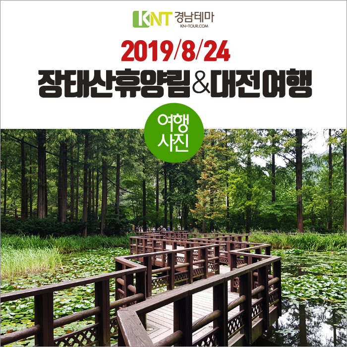  대전여행, 메타세콰이어가 쭉쭉! 장태산자연휴양림 대전여행!