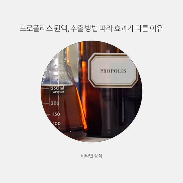  프로폴리스 원액, 추출 방법 따라 효과가 다른 이유