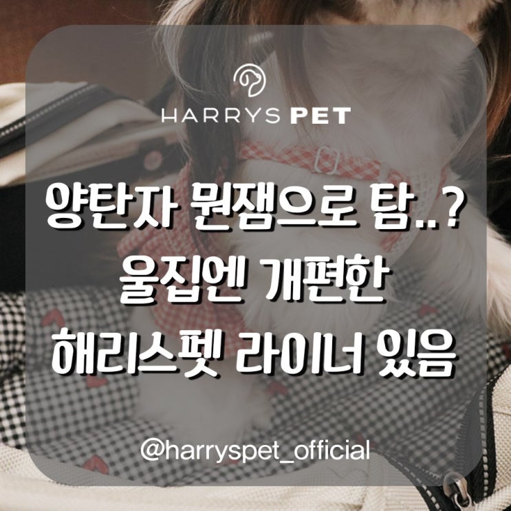  강아지MRI비용 막아내기 위하는 확인사항