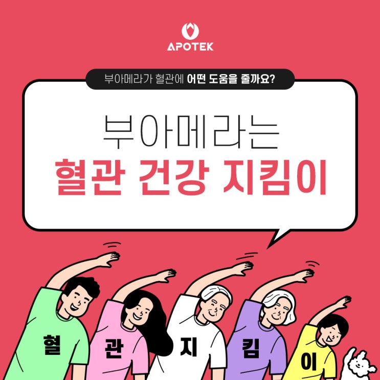  부아메라 = 혈관 건강 지키미 - 아포텍