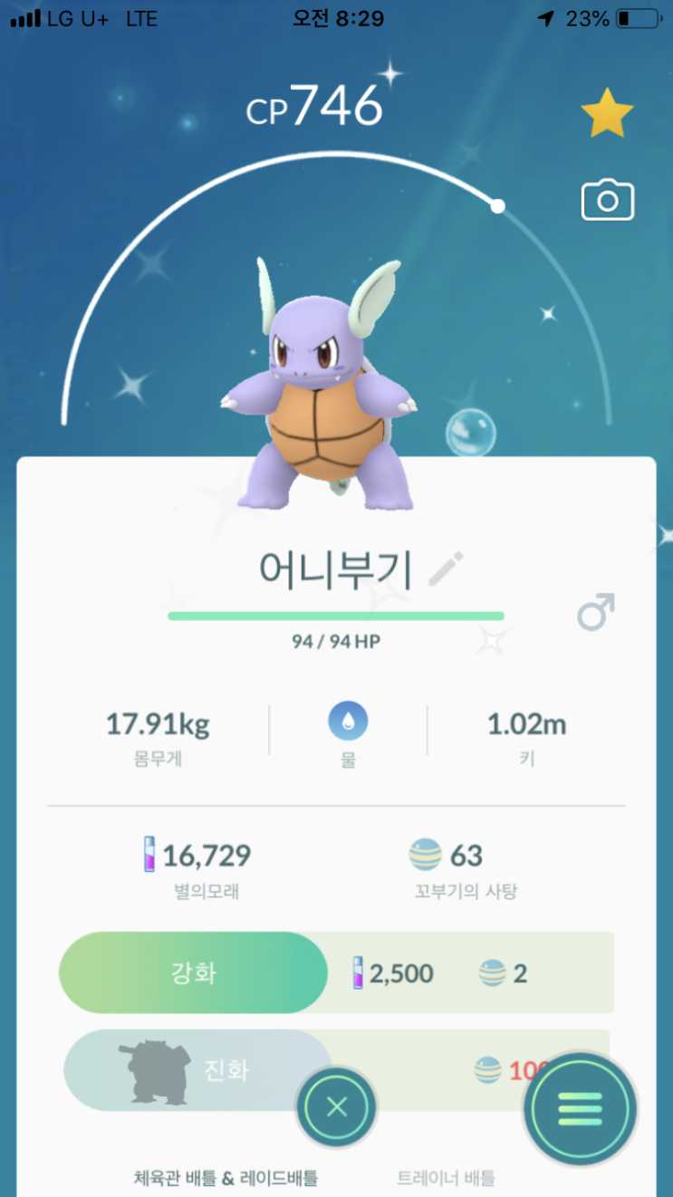  꼬부기 이로치