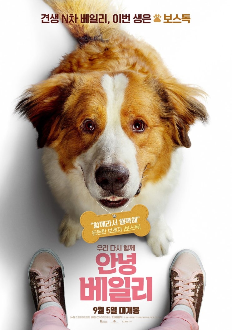  9월 개봉영화 <안녕 베일리> 캐릭터 포스터 4종 공개!