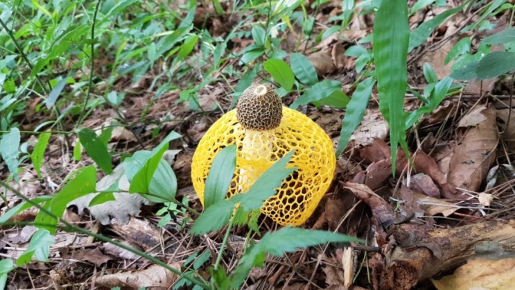  오늘의 뉴스