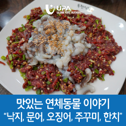  맛있는 연체동물 이야기 “낙지, 문어, 오징어, 주꾸미, 한치”